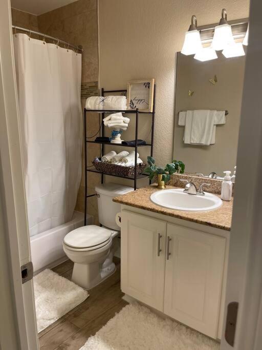 Beautiful/Spacious 2 Bedroom Houston Near Galleria المظهر الخارجي الصورة
